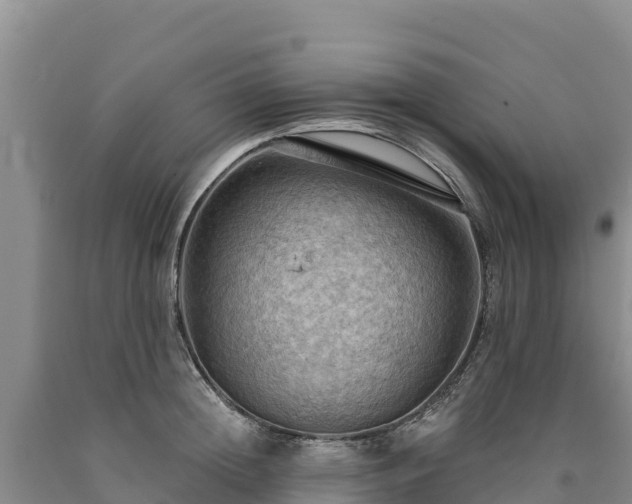 X0000090630852200707241151