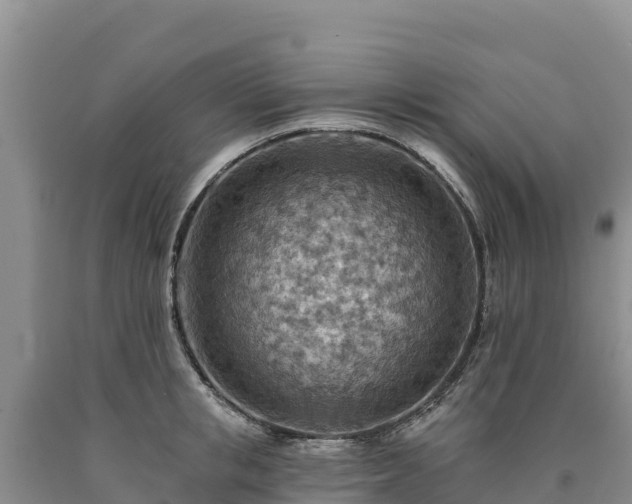 X0000090630853200707241151