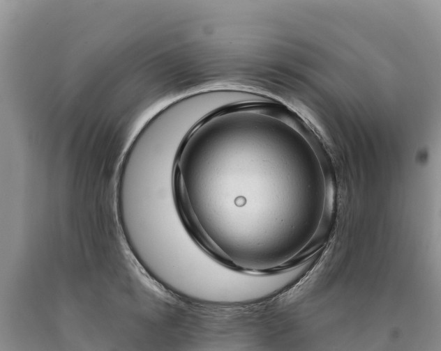 X0000090630854200707241151