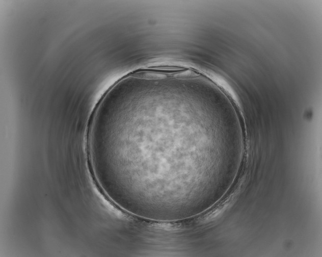 X0000090630855200707241151