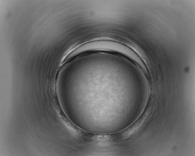 X0000090630858200707241151