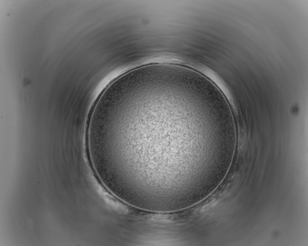 X0000090630861200707241151