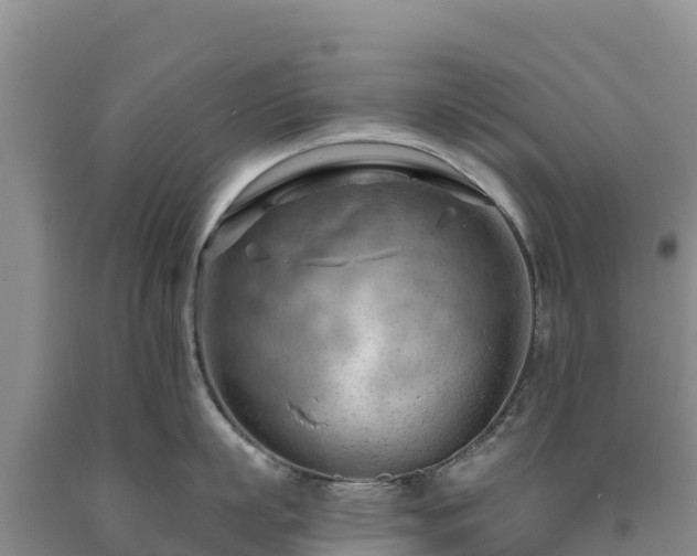 X0000090630863200707241151