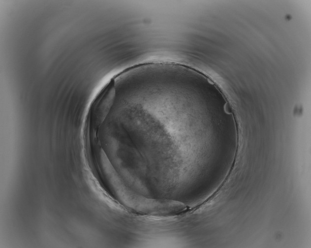 X0000090630864200707241151