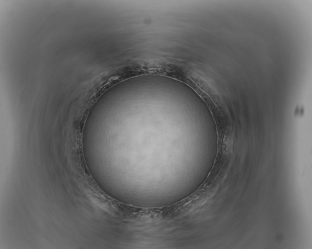 X0000090630865200707241150