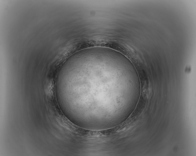 X0000090630866200707241150