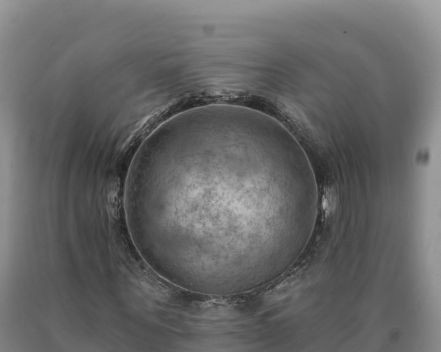 X0000090630867200707241150