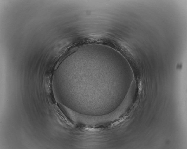 X0000090630868200707241150