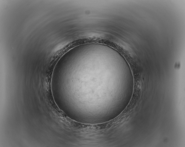 X0000090630869200707241150