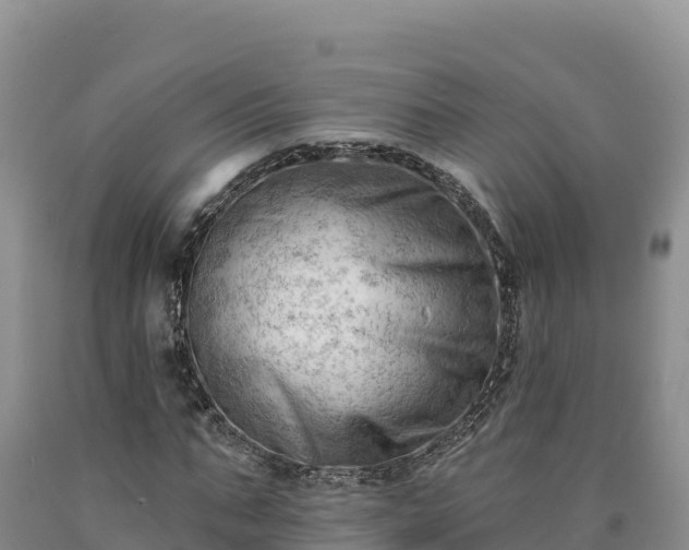 X0000090630871200707241150