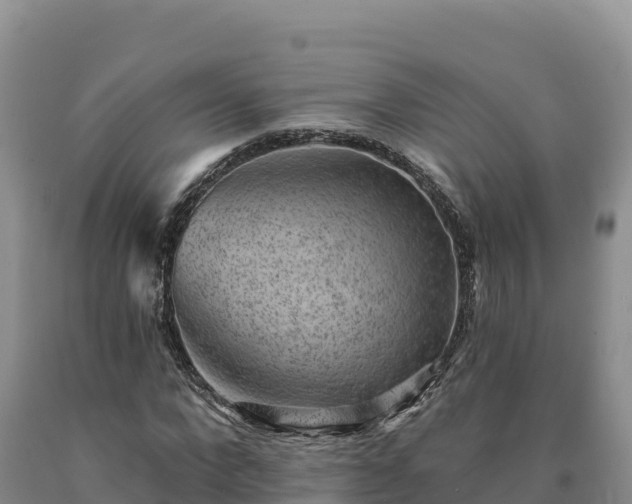X0000090630872200707241150