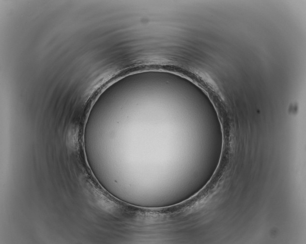 X0000090630873200707241150