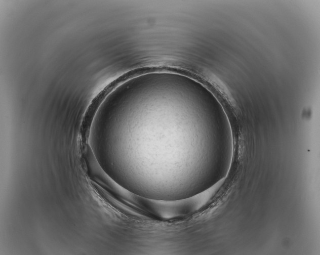 X0000090630876200707241150