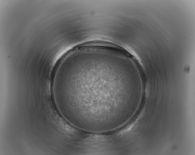 X0000090630877200707241150