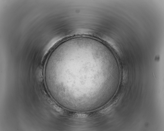 X0000090630878200707241150