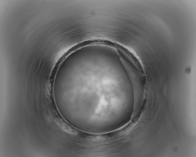 X0000090630879200707241150