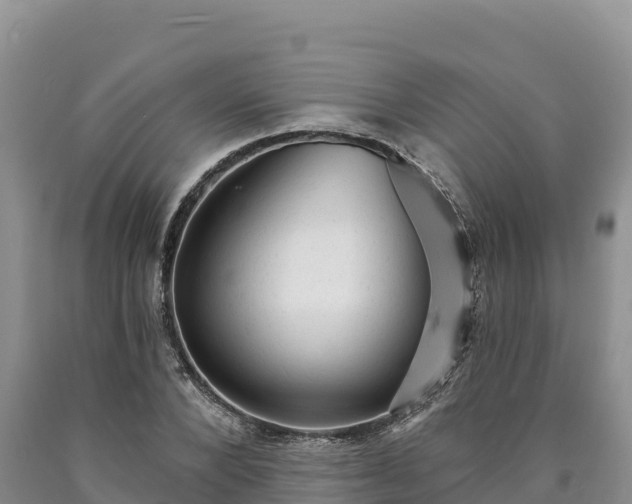 X0000090630880200707241150