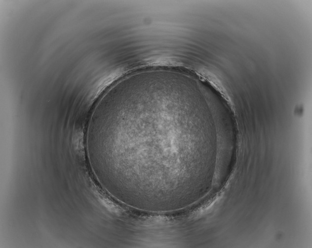 X0000090630881200707241150