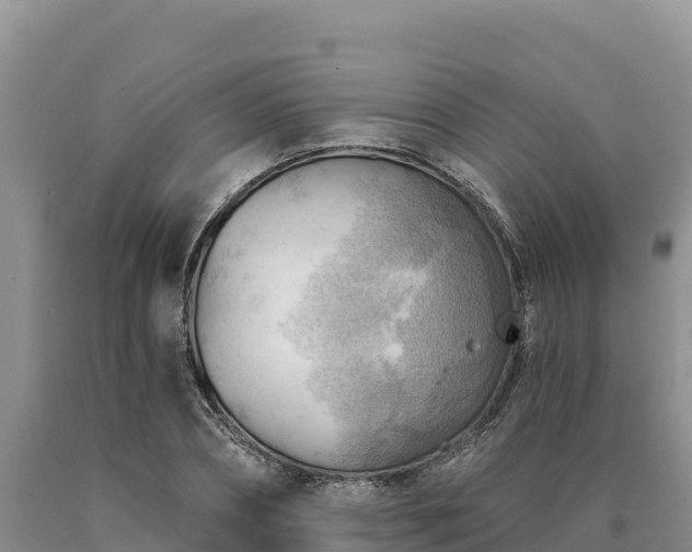 X0000090630882200707241150