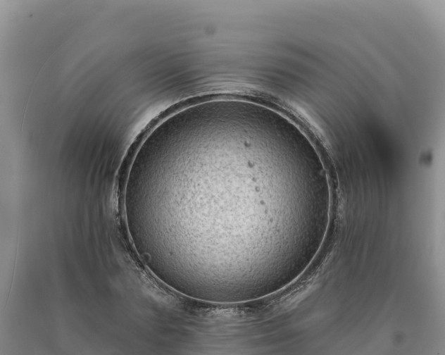X0000090630883200707241150