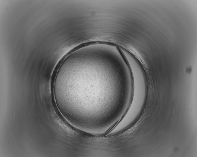 X0000090630884200707241150