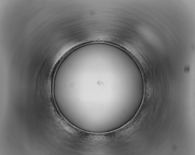X0000090630886200707241150