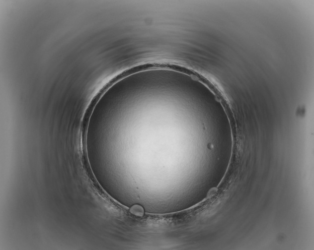 X0000090630887200707241150
