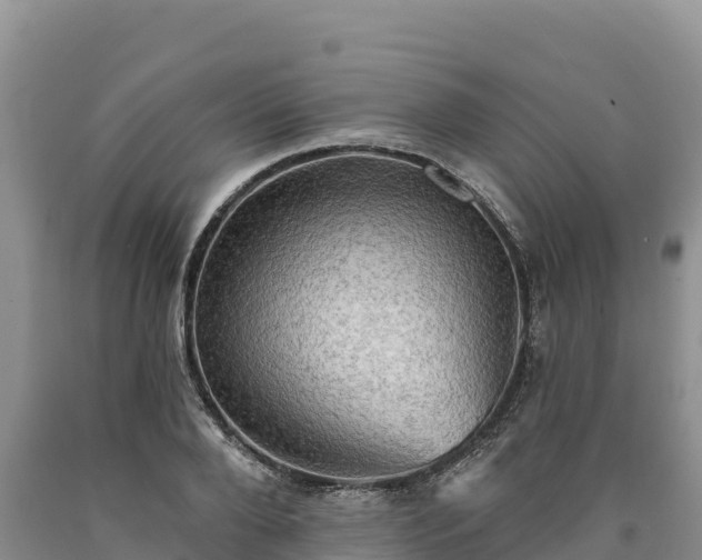 X0000090630888200707241150