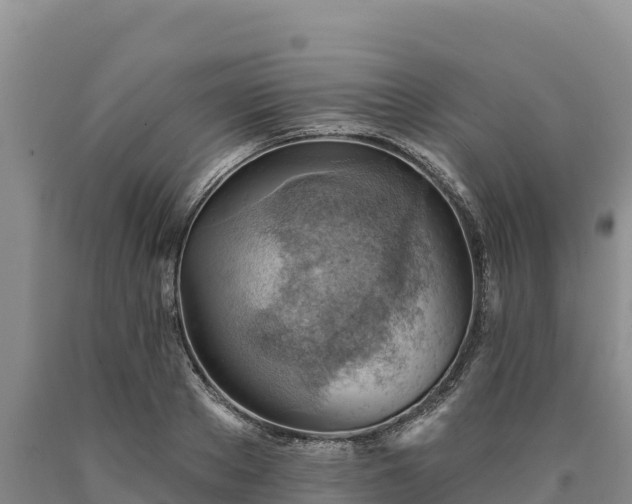 X0000090630889200707241150