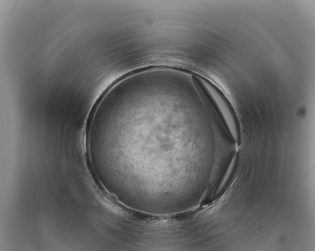 X0000090630891200707241150