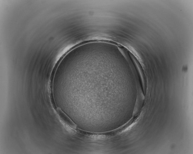 X0000090630893200707241150