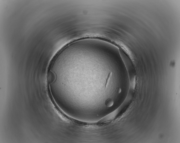 X0000090630894200707241150