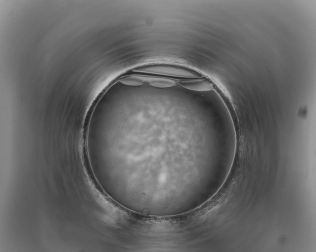 X0000090630895200707241150