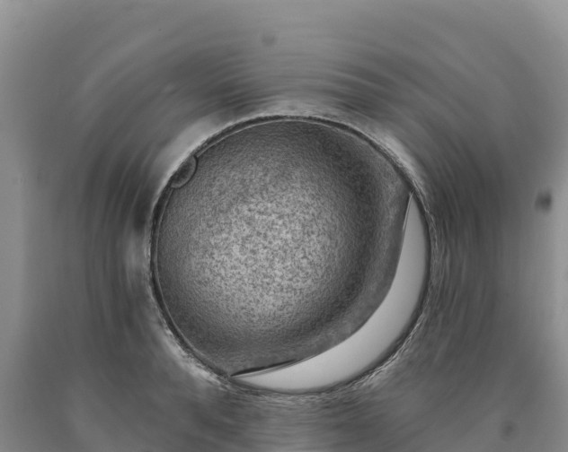 X0000090630896200707241150
