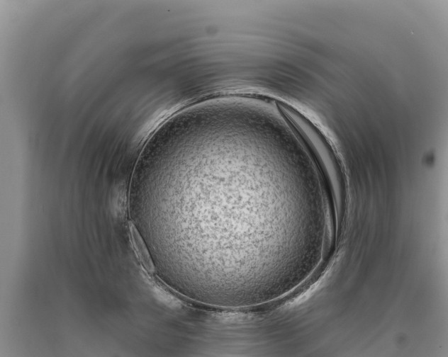 X0000090630897200707241150