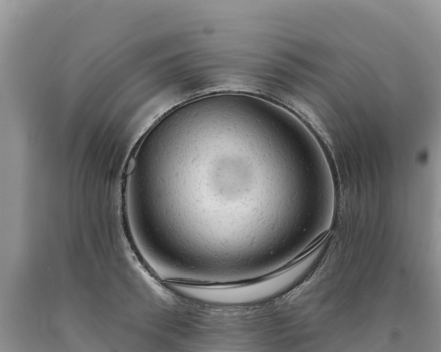 X0000090630898200707241150