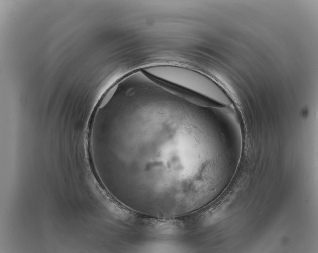 X0000090630899200707241150