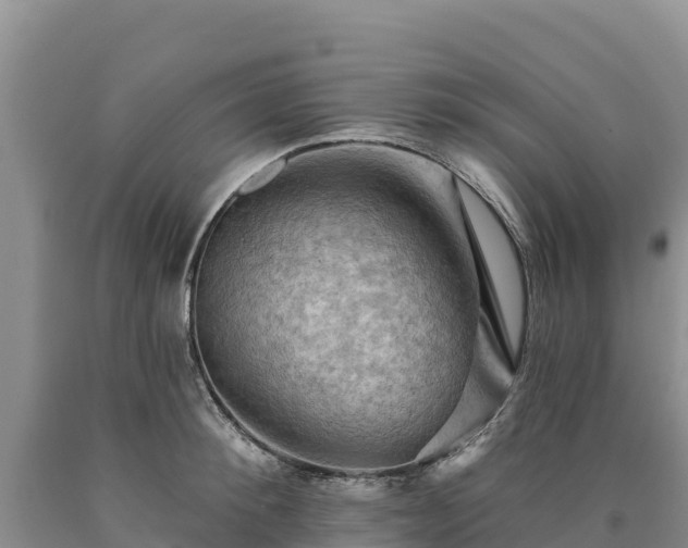 X0000090630900200707241150