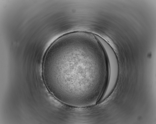 X0000090630904200707241150