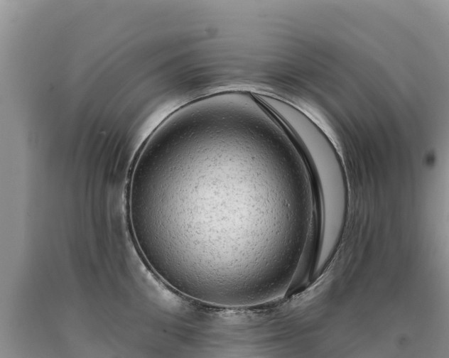 X0000090630906200707241150