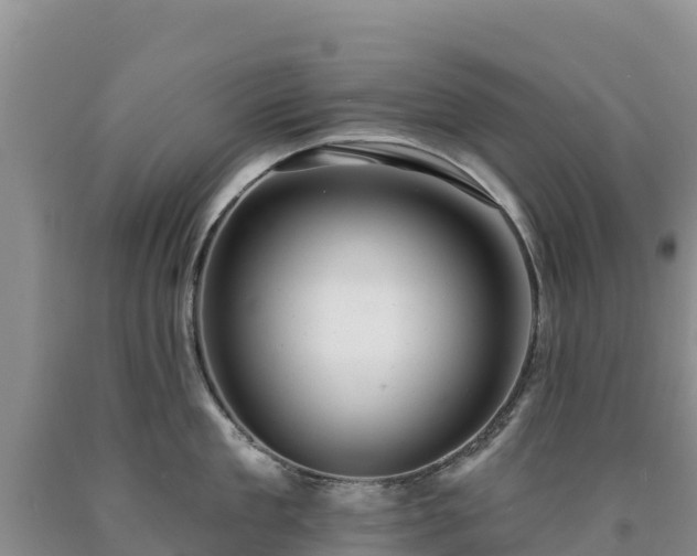 X0000090630909200707241150