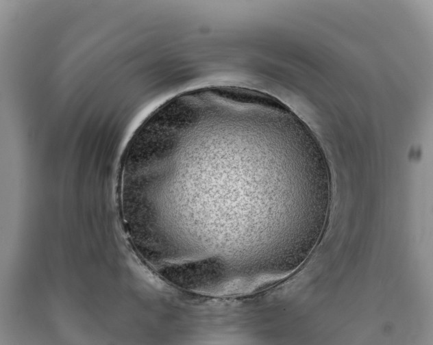 X0000090630912200707241150