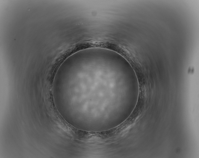 X0000090630913200707241149