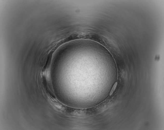 X0000090630914200707241149