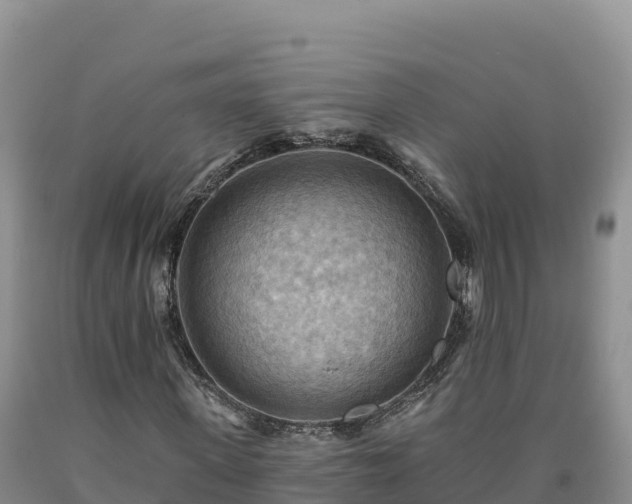 X0000090630915200707241149