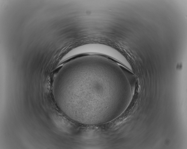 X0000090630916200707241149