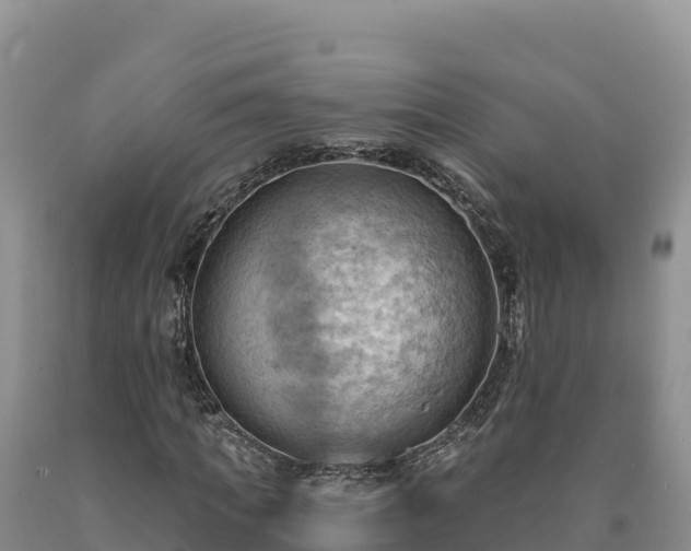 X0000090630917200707241149