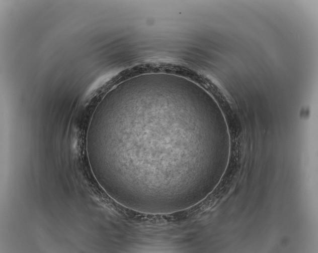 X0000090630919200707241149