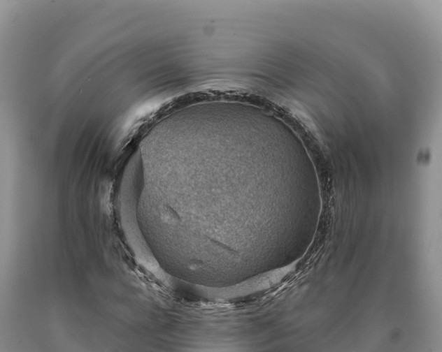 X0000090630920200707241149