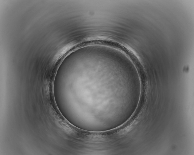 X0000090630921200707241149